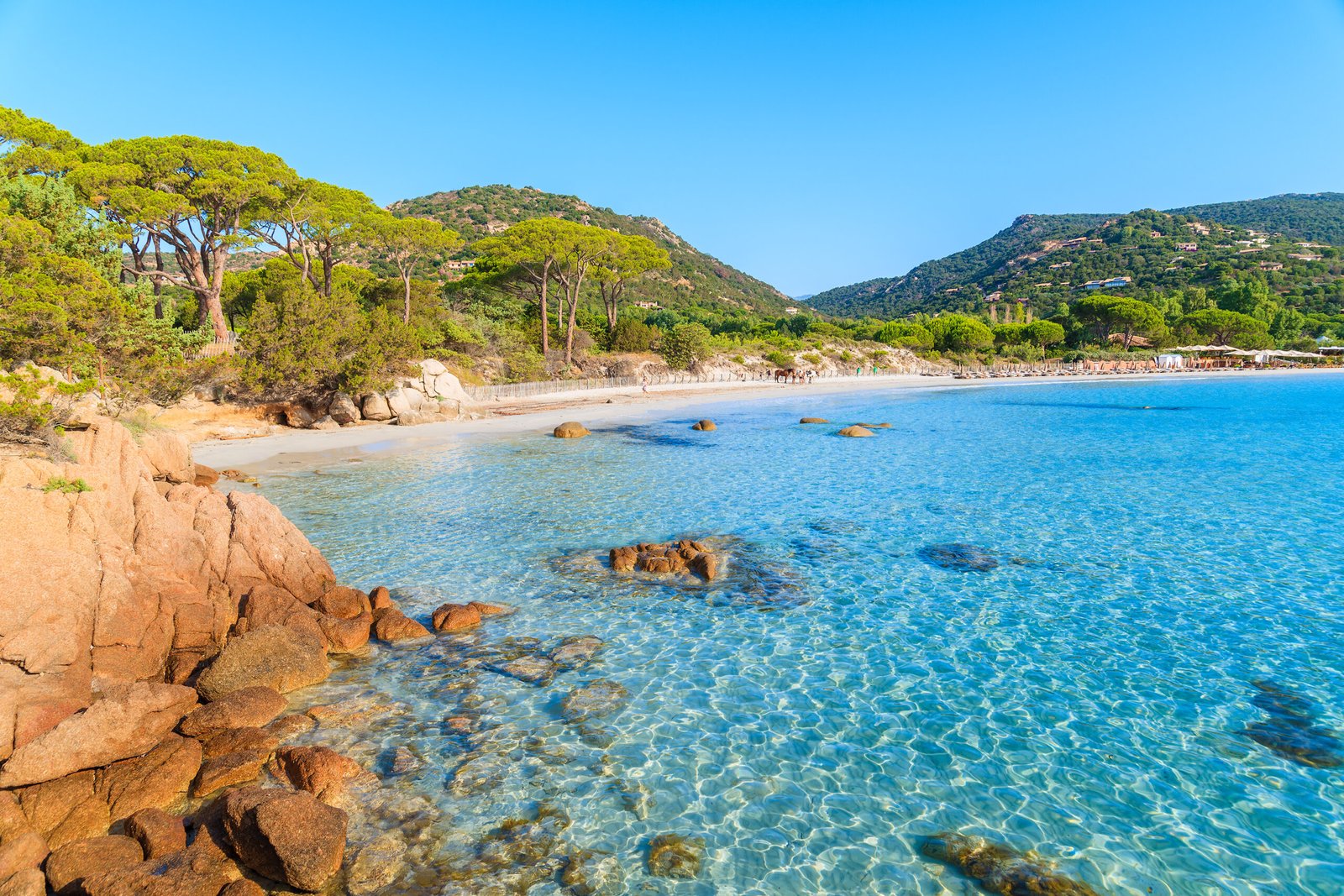 Corse